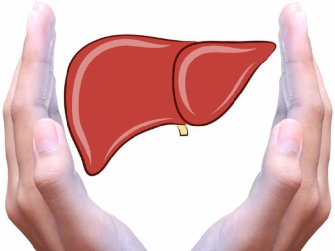 Betaine's effect on the liver