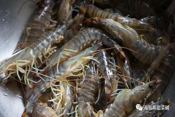 shrimp feed additives