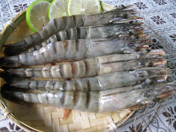 Benefits of betaine in shrimp feed(Healthy)