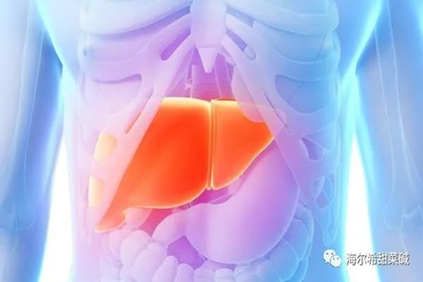 fatty liver