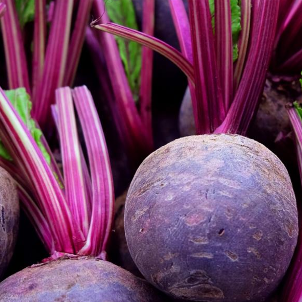 Natural Source of Betaine