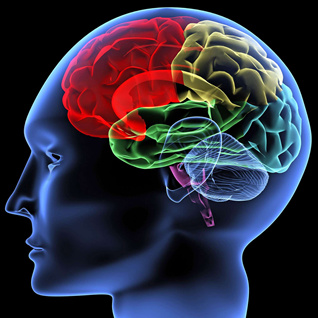 choline chloride food grade
