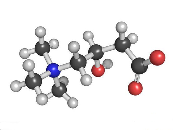 What is L-carnitine?