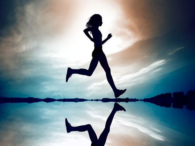The functions of L-carnitine