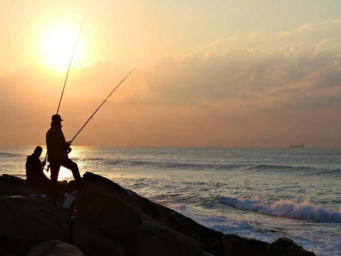 Betaine aid in fishing