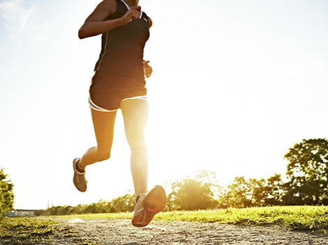 The Role of Food-Grade L-Carnitine: Scientific Analysis and Application Guidelines